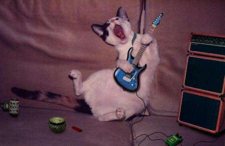 rock star